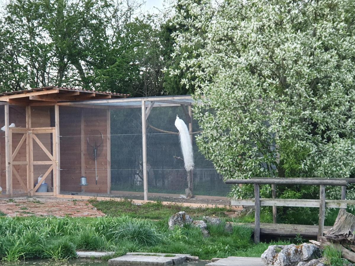 U Durkovych Casa de hóspedes Zabokreky Nad Nitrou Exterior foto